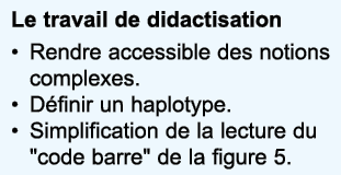Le travail de didactisation Rendre accessible des notions complexes  D finir un haplotype  Simplification de la lectu   