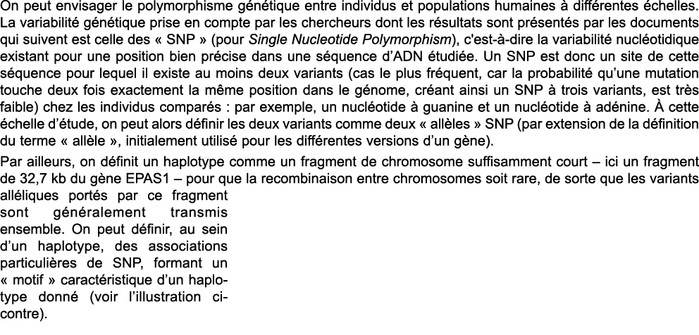 On peut envisager le polymorphisme g n tique entre individus et populations humaines   diff rentes  chelles  La varia   