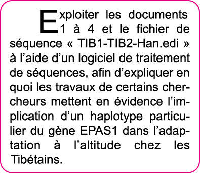 Exploiter les documents 1   4 et le fichier de s quence   TIB1-TIB2-Han edi     l aide d un logiciel de traitement de   