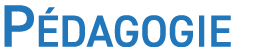 P dagogie
