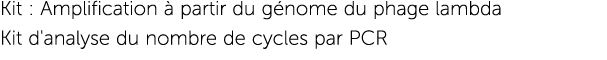 Kit : Amplification   partir du g nome du phage lambda Kit d'analyse du nombre de cycles par PCR 